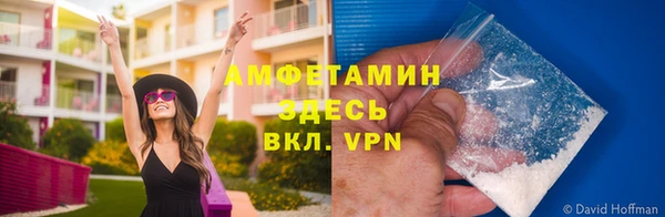дурь Алексеевка