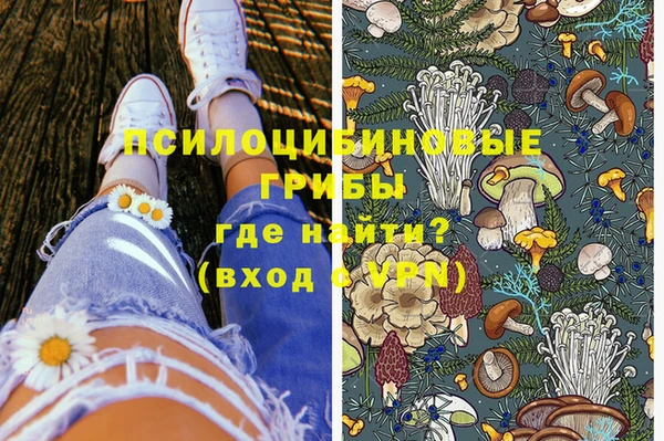дурь Алексеевка