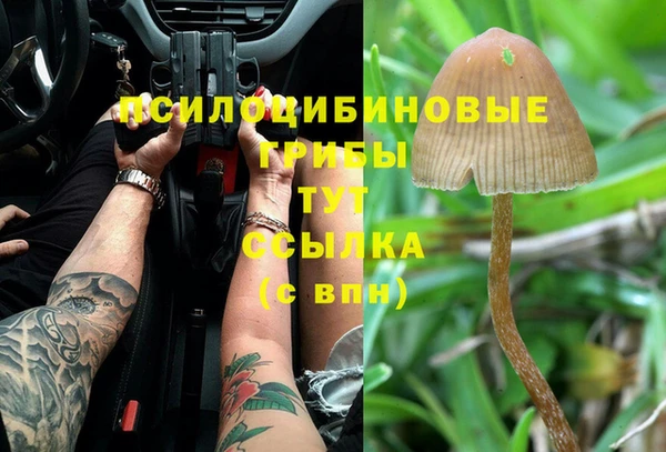 тгк Алзамай