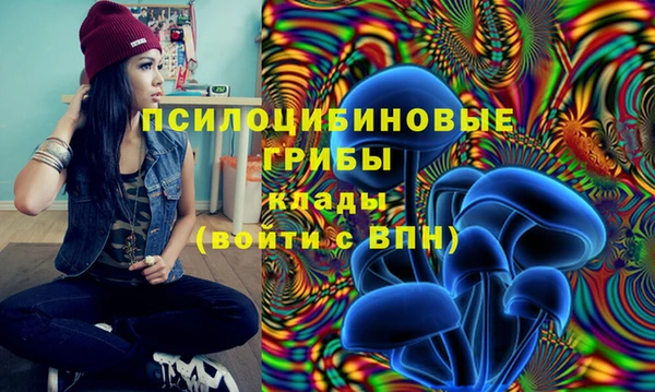 тгк Алзамай