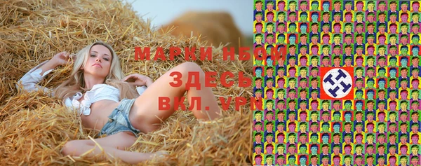 индика Няндома