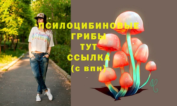 дурь Алексеевка