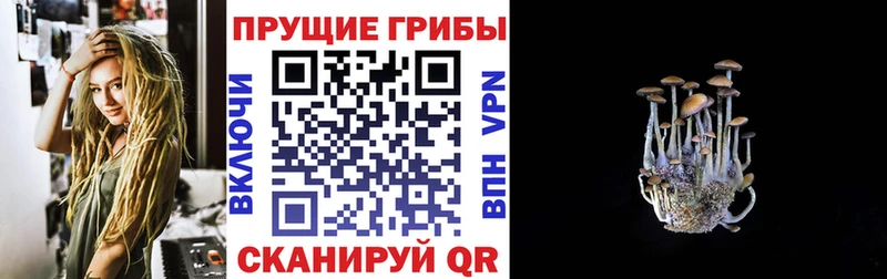 Псилоцибиновые грибы прущие грибы Махачкала